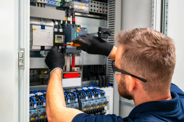 Best Electrical System Inspection  in Johnson Lane, NV