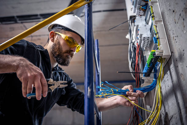 Best Local Electrician Companies  in Johnson Lane, NV