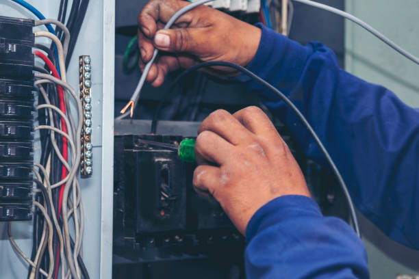 Best Ceiling Fan Installation Electrician  in Johnson Lane, NV