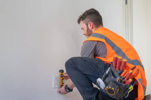 Best Licensed Electrician  in Johnson Lane, NV